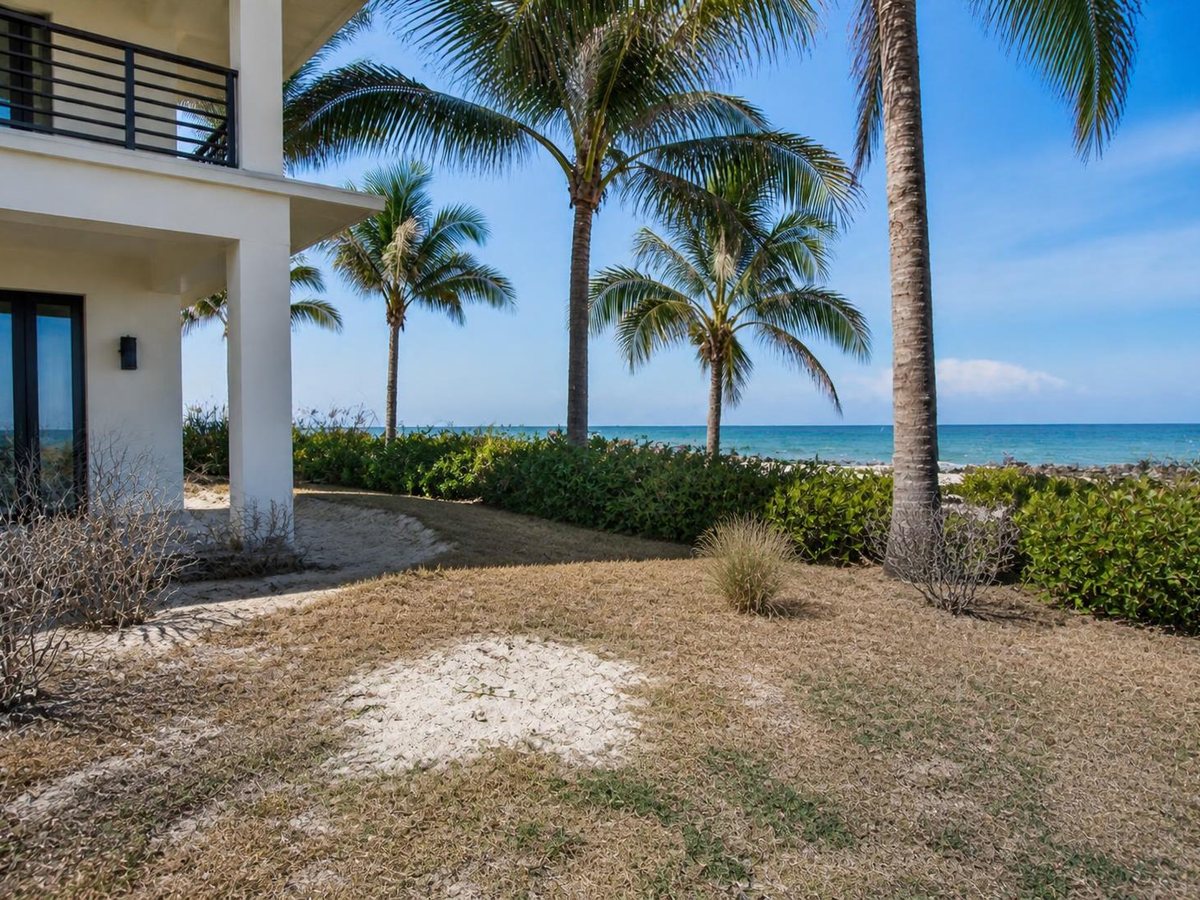 Key Biscayne salt garden, before