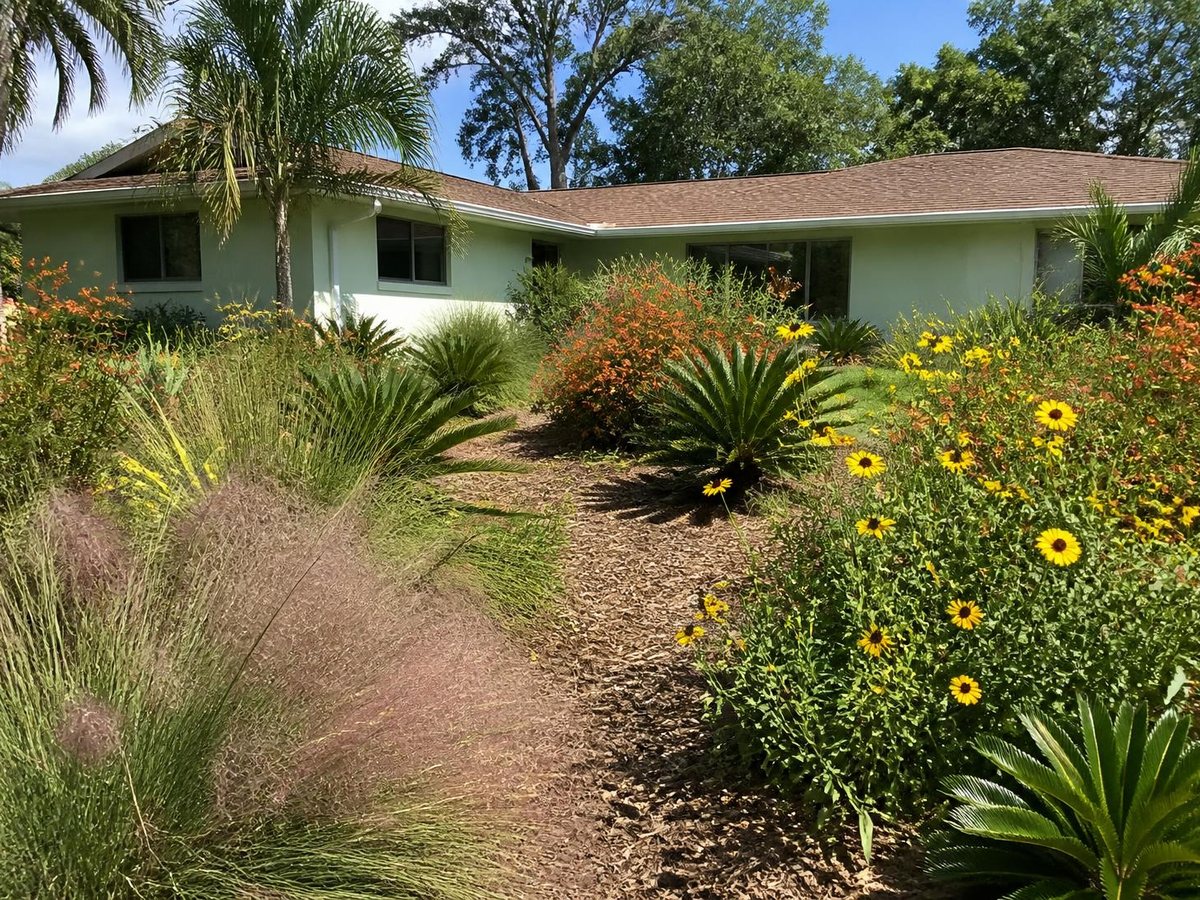 Sunset Dr. butterfly garden, after